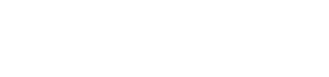 logo fema-branco
