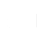 LOGO FEI